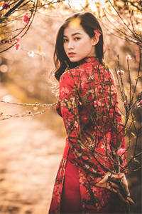 全章节重生八零：初恋校花到我怀里来