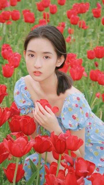 全章节离婚后，高冷前夫跪求复婚