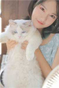 全集小说保卫婚姻
