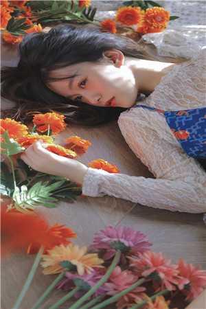 叹清歌全章节阅读
