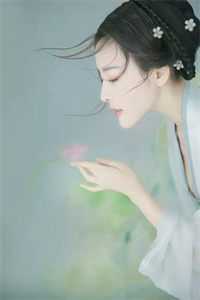 全章节九千岁今天和夫人圆房了吗？
