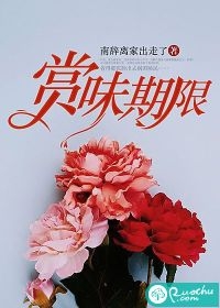 小说九千岁今天和夫人圆房了吗？