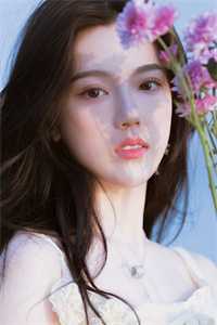全集小说上流婚姻