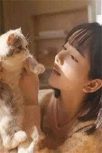 全文章节上流婚姻