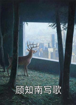畅销小说推荐甜宠：总裁娶到了他暗恋的女孩