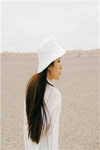 热门作品首辅大人美又飒