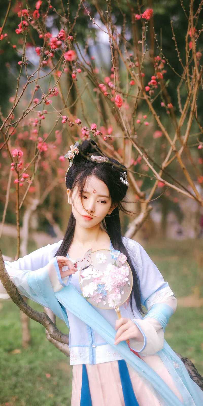 精品穿越：仙界第一炼丹师横行税务局