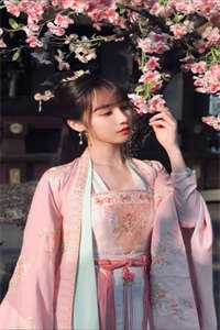 全本小说阅读贵妃每天都想争宠