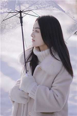 大明工程师畅销小说