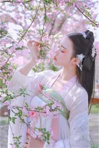 墨总，夫人说你是疯子精品