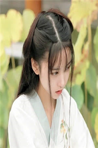 报告督军：夫人她又逃了全集阅读