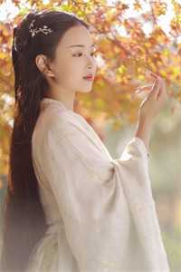 我，神州剑神，老婆魔道女帝全章阅读