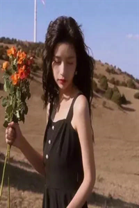 心跳越轨全本小说推荐