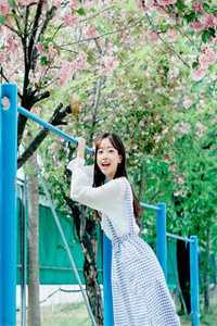 全文章节女状元：她一心只想当权臣