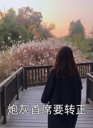 青云多娇长篇小说