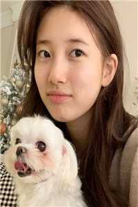 夫人才是真大佬，总裁甘愿做她裙下臣