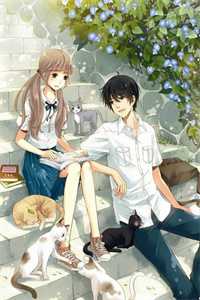 你结婚我劫婚热门作品
