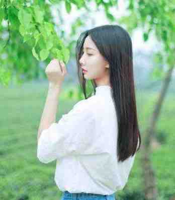 快穿：美人胚宿主吐血后，渣男后悔了畅销巨著