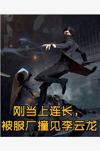 畅销书籍嫁给薄先生