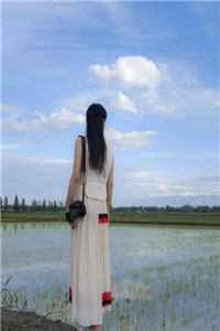 被读心后，全家带我夺皇位小说