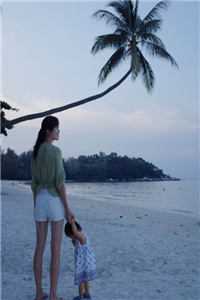 睁眼新婚夜，夫君是朵高岭之花全本阅读