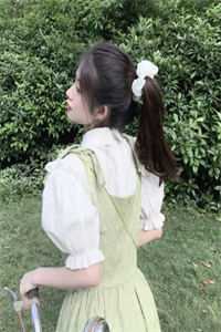 被告无证行医后，他成了兽医一把手完结版