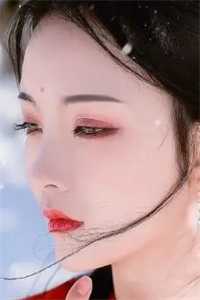 武道狂徒小说