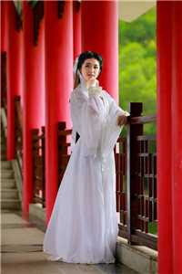 倾城太子妃：今天又被太子追着跑大结局