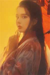 宠哭！太子妃她是笨蛋美人小说