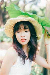 顶级弃婿：我的绝色老婆后悔了畅读全文版