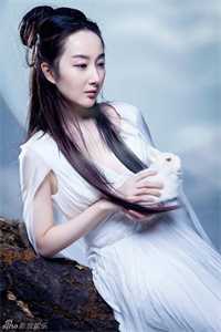 全集阅读倾城太子妃：今天又被太子追着跑