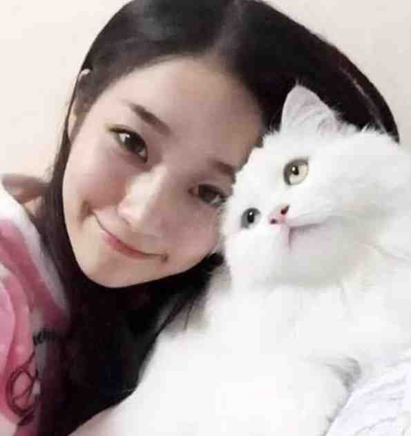 吃大瓜！读心后豪门夫人又爆料了