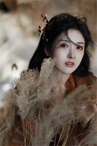 长篇小说上门女婿会医术，绝美前妻悔不当初