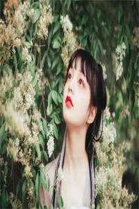 长篇小说甜婚难逃：腹黑总裁轻轻宠