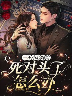畅读精品小说你一离婚律师，怎么尽干媒婆的活