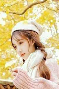 本命龙仙小说畅读