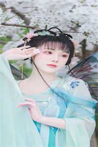 精品选集四合院：何大清长子抗美援朝回来了