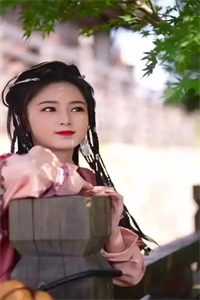 陛下别等了，女将军她拒绝入宫畅读佳作推荐