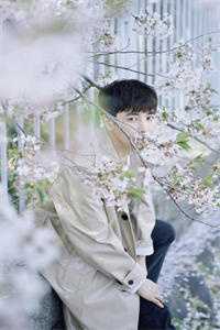 全章节穿书后，我哄骗失忆王爷成夫君