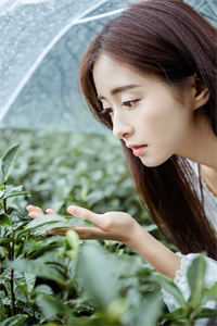 洪荒：刚化形，六圣齐至求我拜师？文章精选阅读