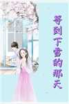 穿越七零：闪婚爹系大龄军官高质量小说阅读