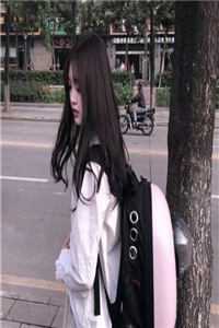 重生后，侯门夫人假死嫁权王全文畅读