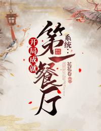 精品文开局选秀综艺，从糊咖到顶级流量！