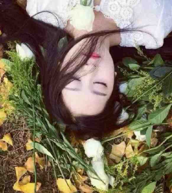 治疗懿症，整顿后宫！手握系统杀疯