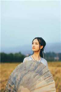 畅销书籍官路芳美人