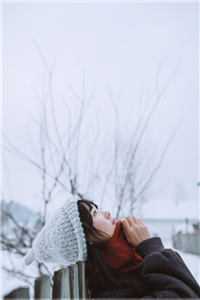 流落荒岛后，我的人生开挂了全文小说