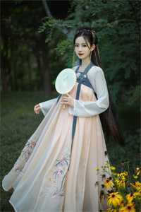 归乡叶梅孙竹番外