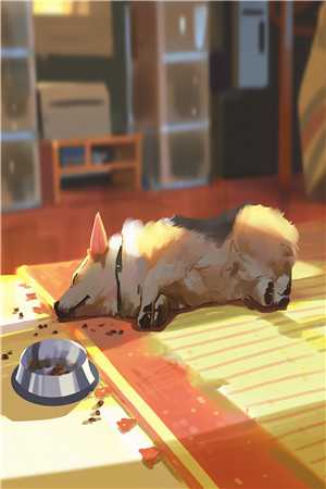 重生后打脸绿茶导员小说