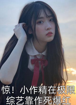 我一腔孤勇，你不屑一顾全章节