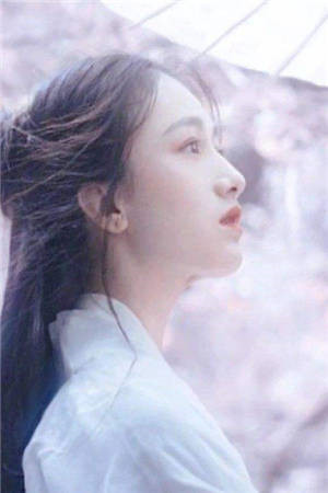 掉入圈套里的恋爱困难少女林晟李昭昭全局
